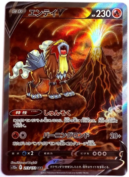 Pokémon Karte - s12a - 213/172 SAR Entei V - Japanisch